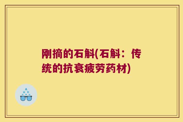 刚摘的石斛(石斛:传统的抗衰疲劳药材) 刚摘的石斛(石斛:传统的抗衰疲劳药材)