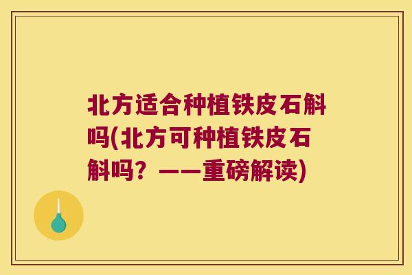 北方适合种植铁皮石斛吗(北方可种植铁皮石斛吗？——重磅解读)