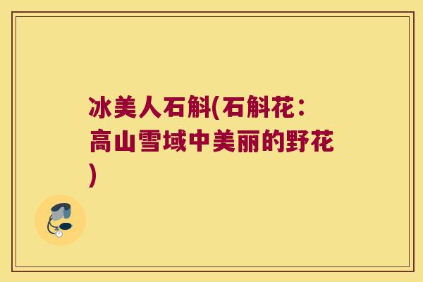 冰美人石斛(石斛花：高山雪域中美丽的野花)