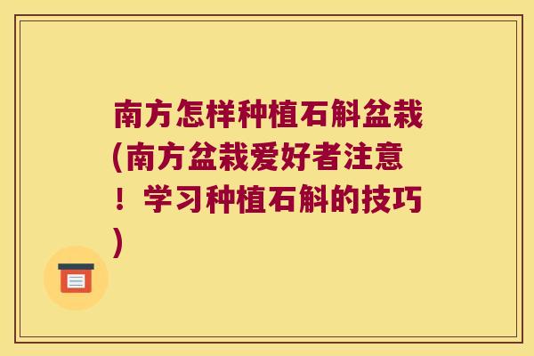 南方怎样种植石斛盆栽(南方盆栽爱好者注意！学习种植石斛的技巧)