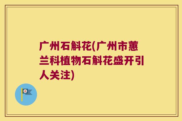 广州石斛花(广州市蕙兰科植物石斛花盛开引人关注)