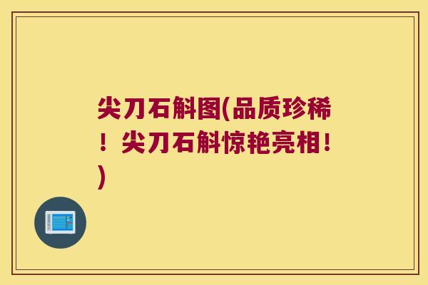 尖刀石斛图(品质珍稀！尖刀石斛惊艳亮相！)