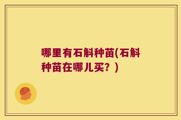 哪里有石斛种苗(石斛种苗在哪儿买？)