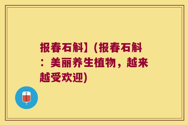 报春石斛】(报春石斛：美丽养生植物，越来越受欢迎)