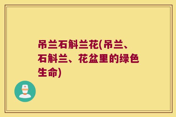吊兰石斛兰花(吊兰、石斛兰、花盆里的绿色生命)