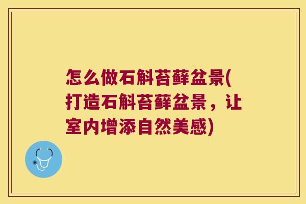 怎么做石斛苔藓盆景(打造石斛苔藓盆景，让室内增添自然美感)