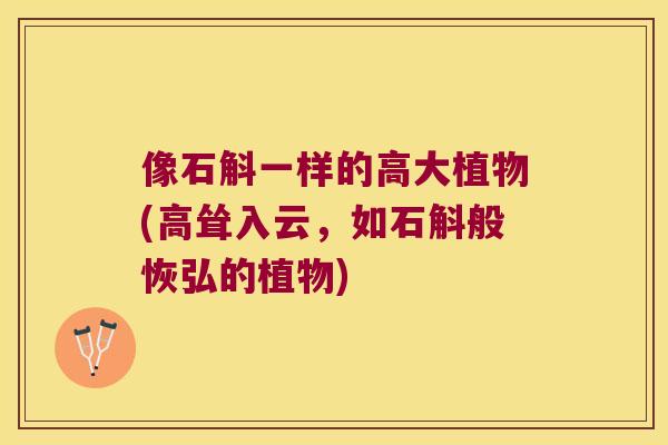 像石斛一样的高大植物(高耸入云，如石斛般恢弘的植物)