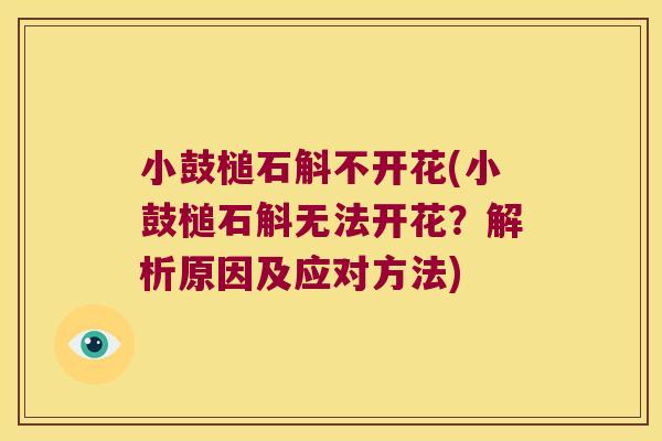 小鼓槌石斛不开花(小鼓槌石斛无法开花？解析原因及应对方法)
