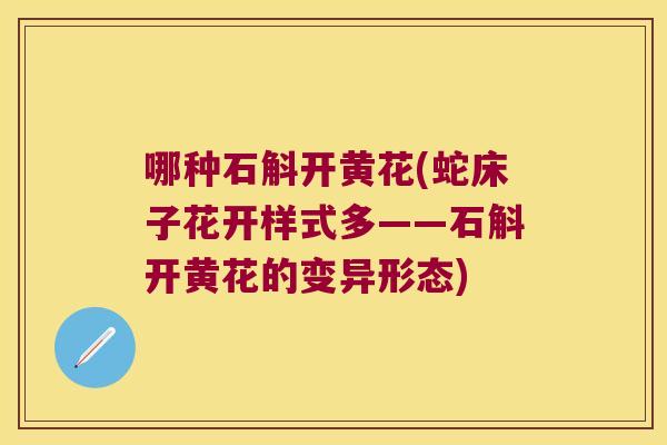 哪种石斛开黄花(蛇床子花开样式多——石斛开黄花的变异形态)