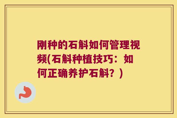 刚种的石斛如何管理视频(石斛种植技巧：如何正确养护石斛？)