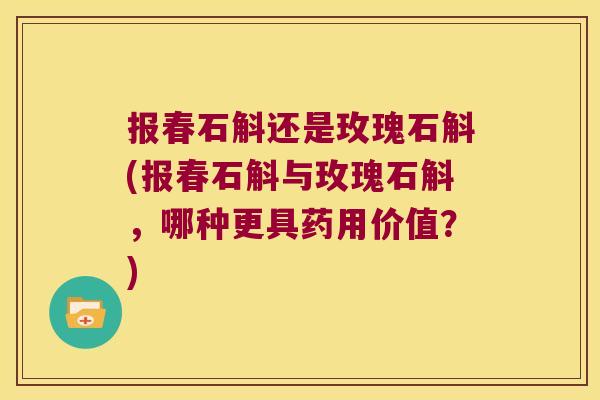 报春石斛还是玫瑰石斛(报春石斛与玫瑰石斛，哪种更具药用价值？)