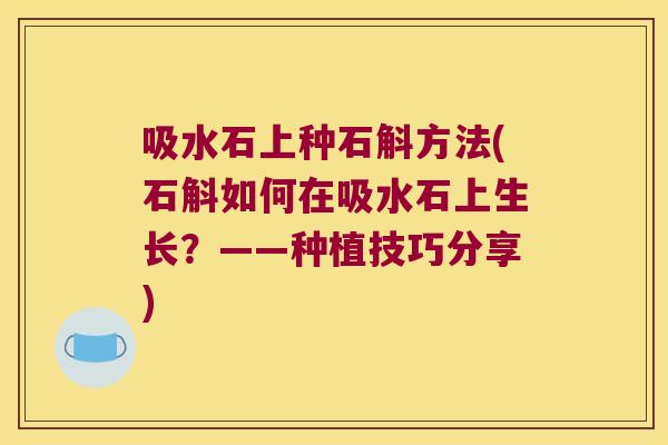 吸水石上种石斛方法(石斛如何在吸水石上生长？——种植技巧分享)