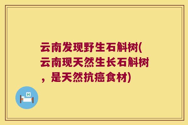 云南发现野生石斛树(云南现天然生长石斛树，是天然抗癌食材)