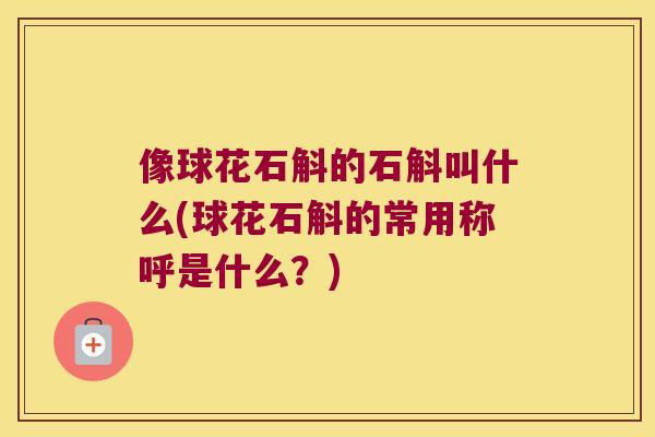 像球花石斛的石斛叫什么(球花石斛的常用称呼是什么？)