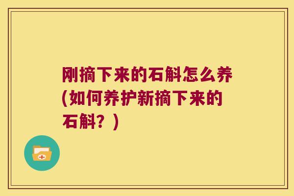 刚摘下来的石斛怎么养(如何养护新摘下来的石斛？)