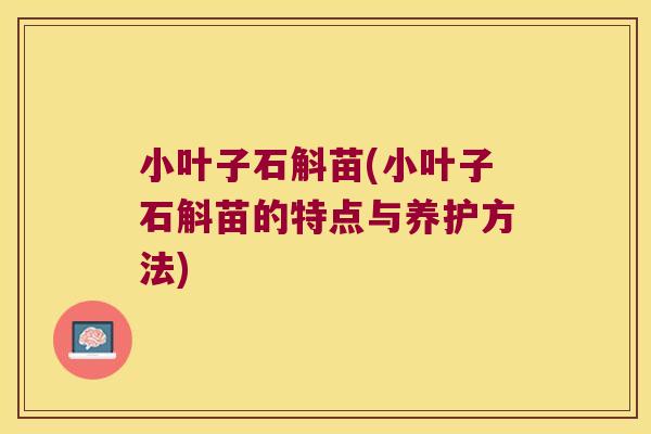 小叶子石斛苗(小叶子石斛苗的特点与养护方法)