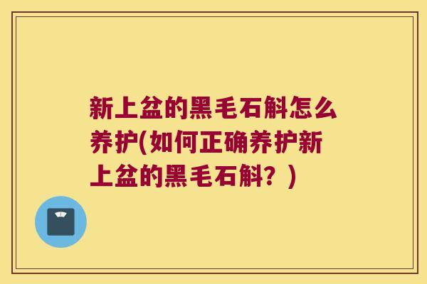 新上盆的黑毛石斛怎么养护(如何正确养护新上盆的黑毛石斛？)