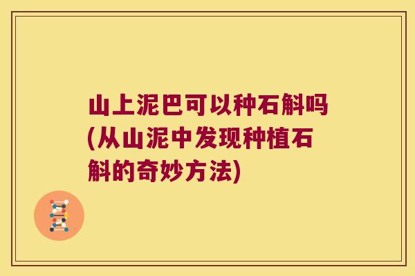 山上泥巴可以种石斛吗(从山泥中发现种植石斛的奇妙方法) 山上泥巴可以种石斛吗(从山泥中发现种植石斛的奇妙方法)