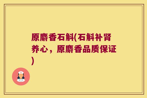 原麝香石斛(石斛补肾养心，原麝香品质保证)