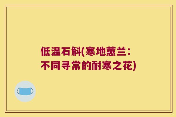 低温石斛(寒地蕙兰：不同寻常的耐寒之花)