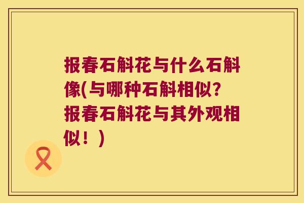 报春石斛花与什么石斛像(与哪种石斛相似？报春石斛花与其外观相似！)