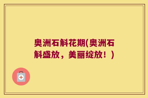 奥洲石斛花期(奥洲石斛盛放，美丽绽放！)