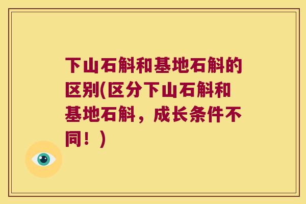 下山石斛和基地石斛的区别(区分下山石斛和基地石斛，成长条件不同！)