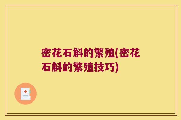 密花石斛的繁殖(密花石斛的繁殖技巧)