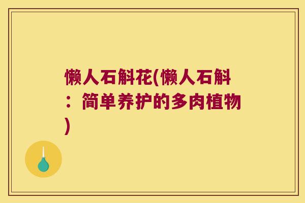懒人石斛花(懒人石斛：简单养护的多肉植物)