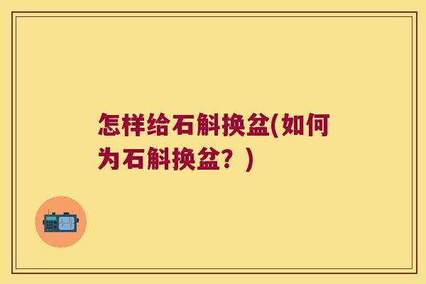 怎样给石斛换盆(如何为石斛换盆？)