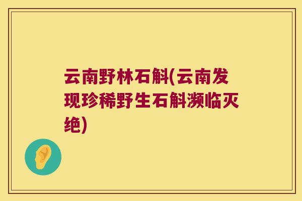 云南野林石斛(云南发现珍稀野生石斛濒临灭绝)