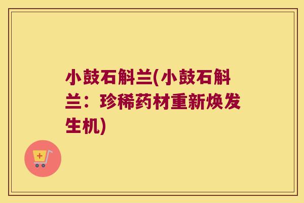 小鼓石斛兰(小鼓石斛兰：珍稀药材重新焕发生机)