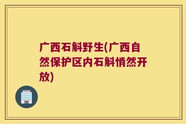 广西石斛野生(广西自然保护区内石斛悄然开放)