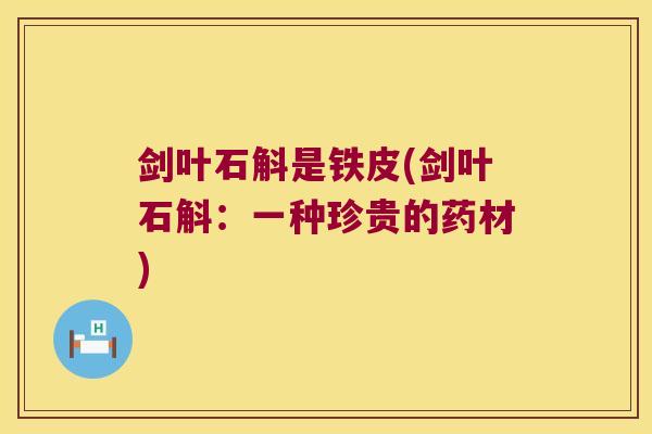 剑叶石斛是铁皮(剑叶石斛：一种珍贵的药材)