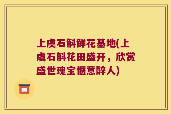 上虞石斛鲜花基地(上虞石斛花田盛开，欣赏盛世瑰宝惬意醉人)