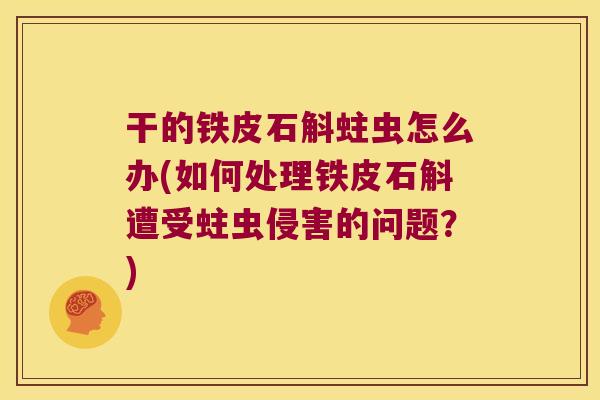干的铁皮石斛蛀虫怎么办(如何处理铁皮石斛遭受蛀虫侵害的问题？)