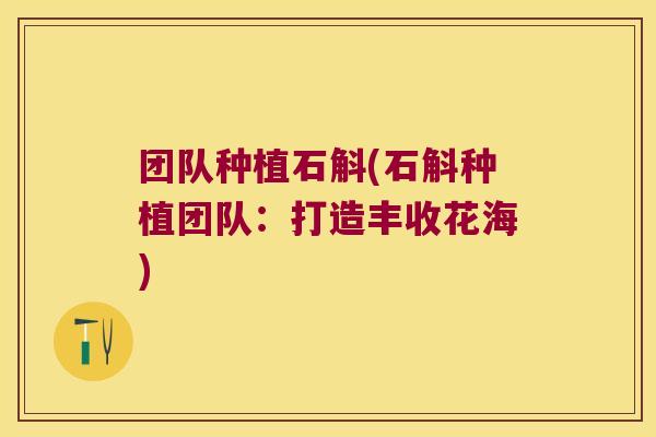 团队种植石斛(石斛种植团队：打造丰收花海)