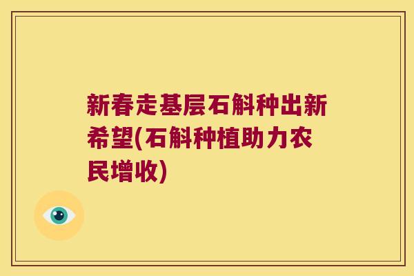 新春走基层石斛种出新希望(石斛种植助力农民增收)
