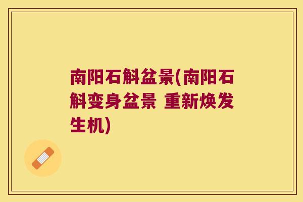 南阳石斛盆景(南阳石斛变身盆景 重新焕发生机)