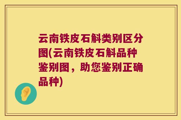 云南铁皮石斛类别区分图(云南铁皮石斛品种鉴别图，助您鉴别正确品种)