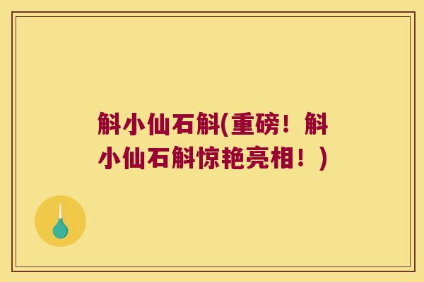 斛小仙石斛(重磅！斛小仙石斛惊艳亮相！)