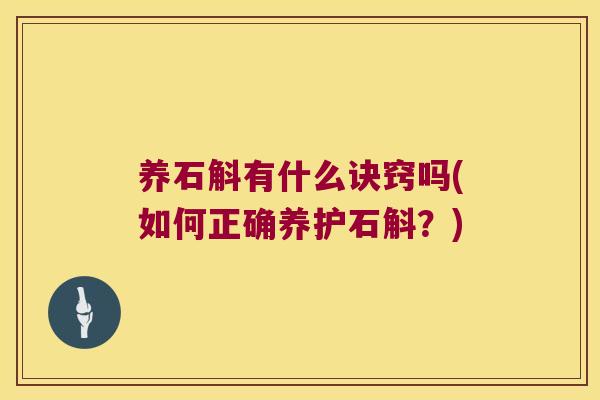 养石斛有什么诀窍吗(如何正确养护石斛？)