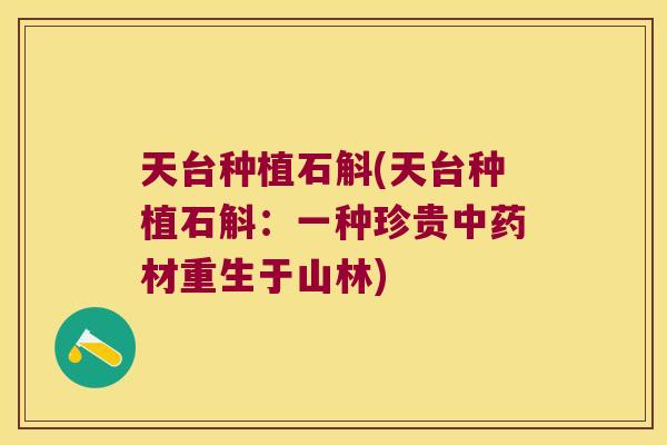 天台种植石斛(天台种植石斛:一种珍贵材重生于山林) 天台种植石斛(天台种植石斛:一种珍贵材重生于山林)