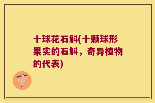 十球花石斛(十颗球形果实的石斛，奇异植物的代表)