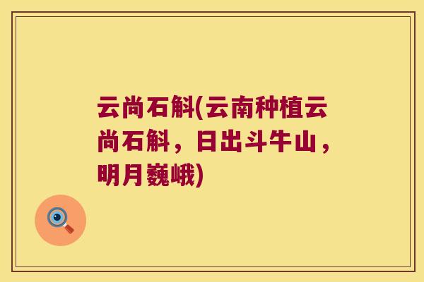 云尚石斛(云南种植云尚石斛,日出斗牛山,明月巍峨) 云尚石斛(云南种植云尚石斛,日出斗牛山,明月巍峨)
