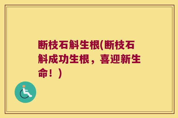 断枝石斛生根(断枝石斛成功生根，喜迎新生命！)