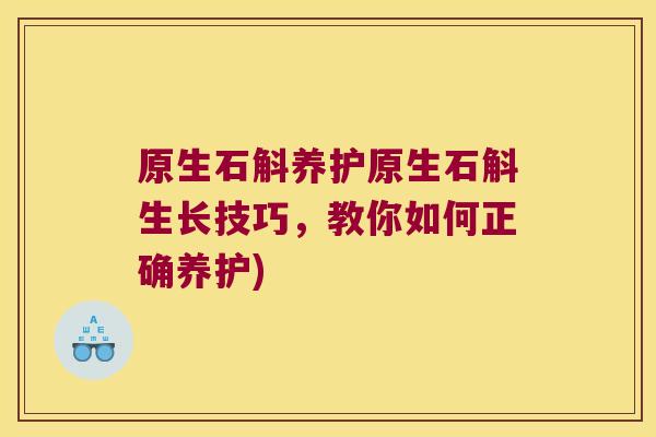 原生石斛养护原生石斛生长技巧，教你如何正确养护)