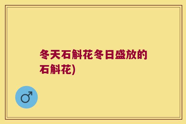 冬天石斛花冬日盛放的石斛花)