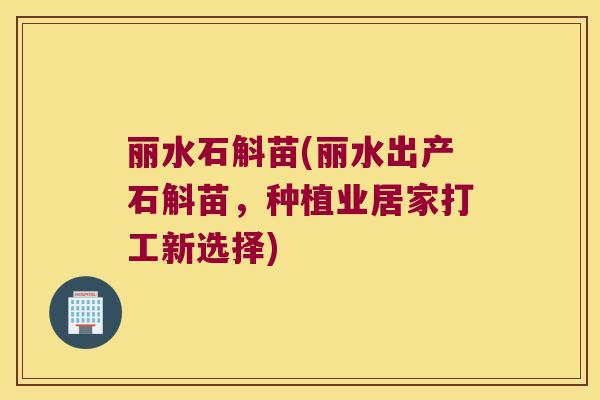 丽水石斛苗(丽水出产石斛苗，种植业居家打工新选择)