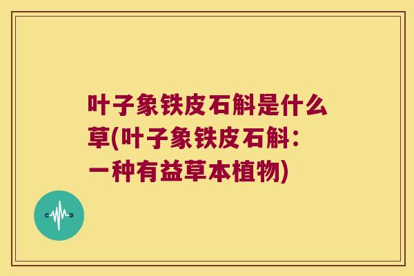 叶子象铁皮石斛是什么草(叶子象铁皮石斛：一种有益草本植物)